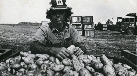 קיבוץ געש, גלוית שנה טובה, ללא תאריך, צילום יוסף הוכמן