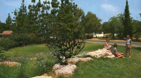 קיבוץ געתון, גלוית שנה טובה, 1975, תוצרת פלפוט