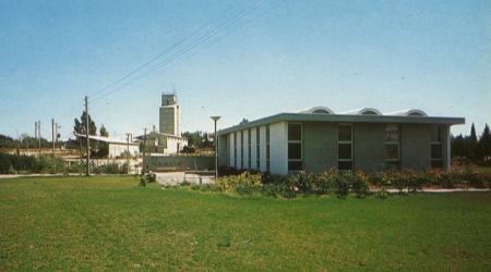 קיבוץ דביר, גלוית שנה טובה, שנות ה-60, תוצרת פלפוט