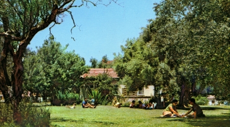 קיבוץ כרמיה, גלוית שנה טובה, 1967, תוצרת פלפוט
