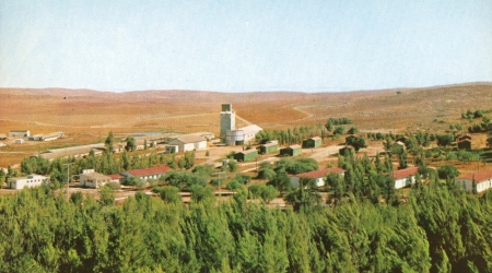 קיבוץ להב, גלוית שנה טובה, שנות ה-60, תוצרת פלפוט