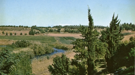 קיבוץ בית זרע, גלוית שנה טובה, שנות ה-60, תוצרת פלפוט