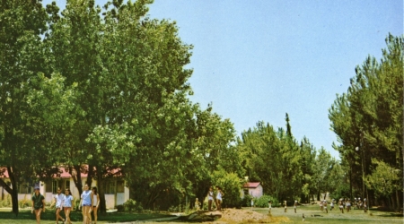 קיבוץ בית קמה, גלוית שנה טובה, 1967, תוצרת פלפוט