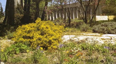 קיבוץ ברעם, גלוית שנה טובה, 1979, תוצרת פלפוט