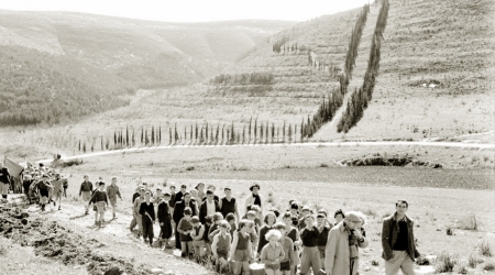 נטיעות טו בשבט בהרי מנשה, 1947. צילום: אשר בנארי, הזורע 