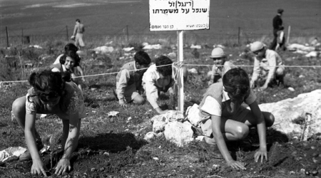 נטיעות באדמת טרשים, כפר מנחם, 1941. צילום: דוד פרלמוטר